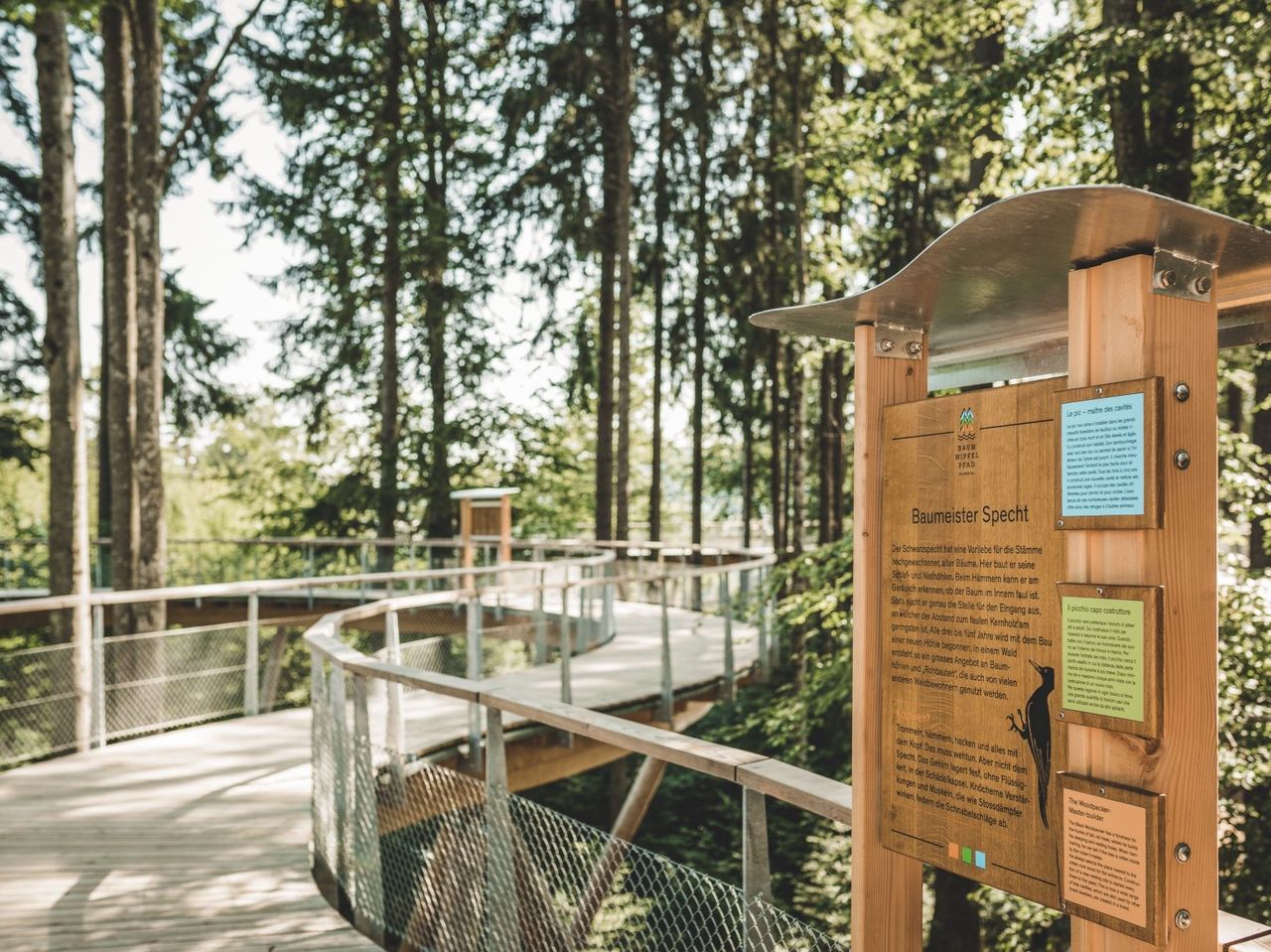 Ticket Baumwipfelpfad Neckertal im Toggenburg