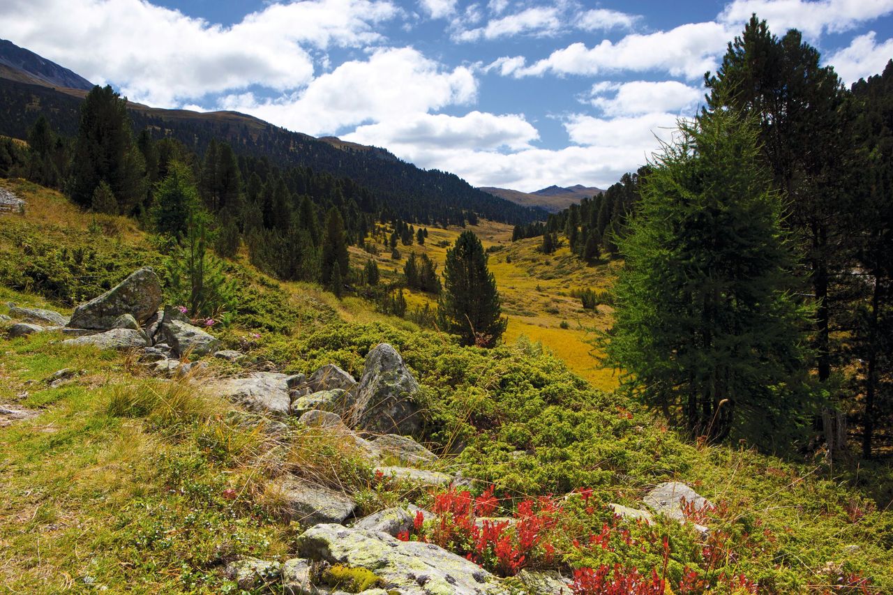 National Park S-Charl (Foto: Schweiz Tourismus Roland Gerth)