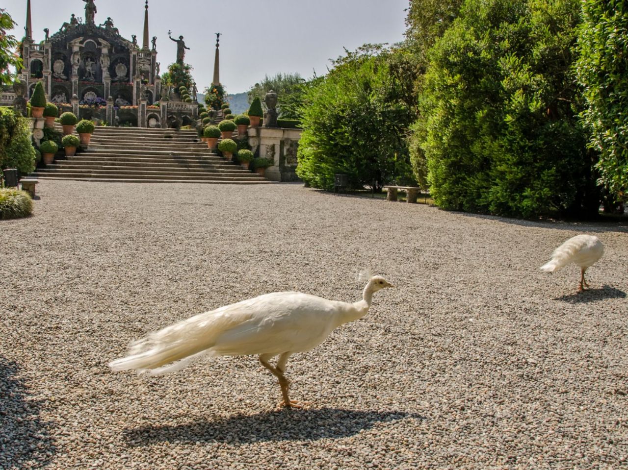 Private Tagestour nach Stresa und zu den Borromäischen Inseln