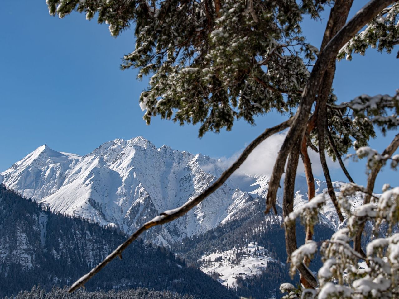 Kulinarik Trail Wald und Winter selbstgeführt