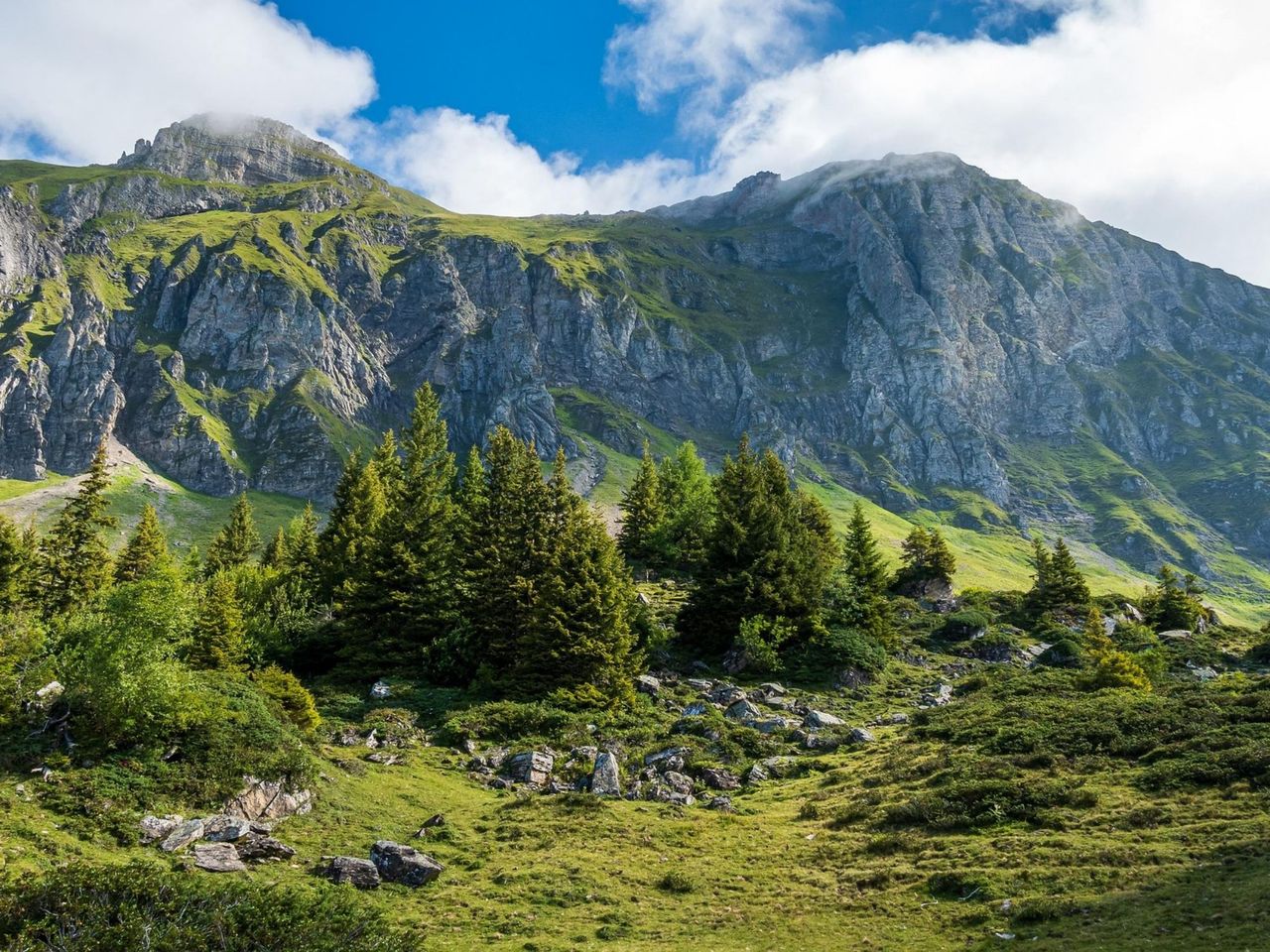 Alpenrhein Express Ticket between St. Gallen and Chur