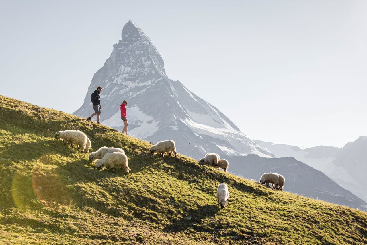 Zermatt Matterhorn