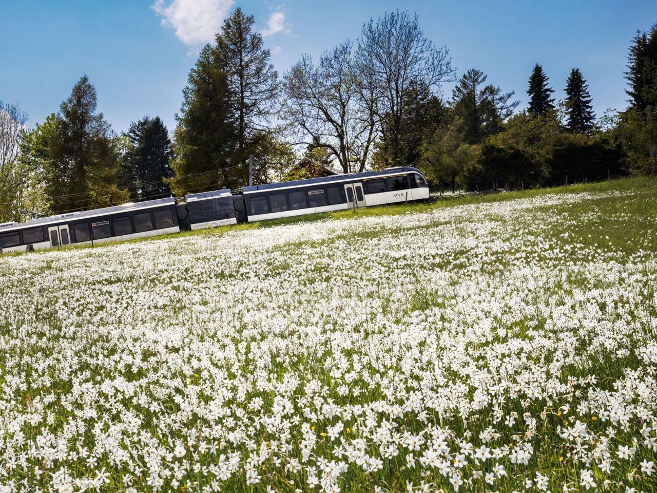 Ticket Zahnradbahn Vevey - Les Pléiades