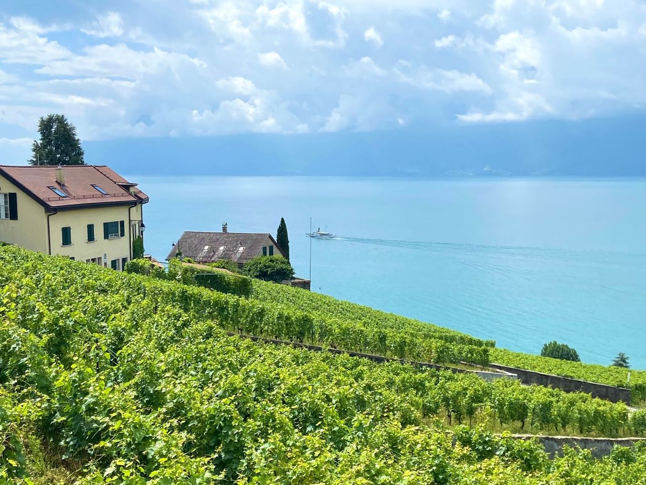 Private Weinwanderung in Lavaux ab Lausanne