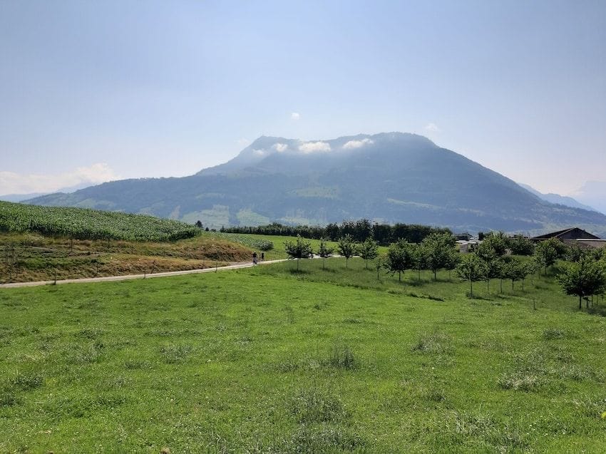 Private half-day e-bike tour to Kastanienbaum and Sonnenberg from Lucerne