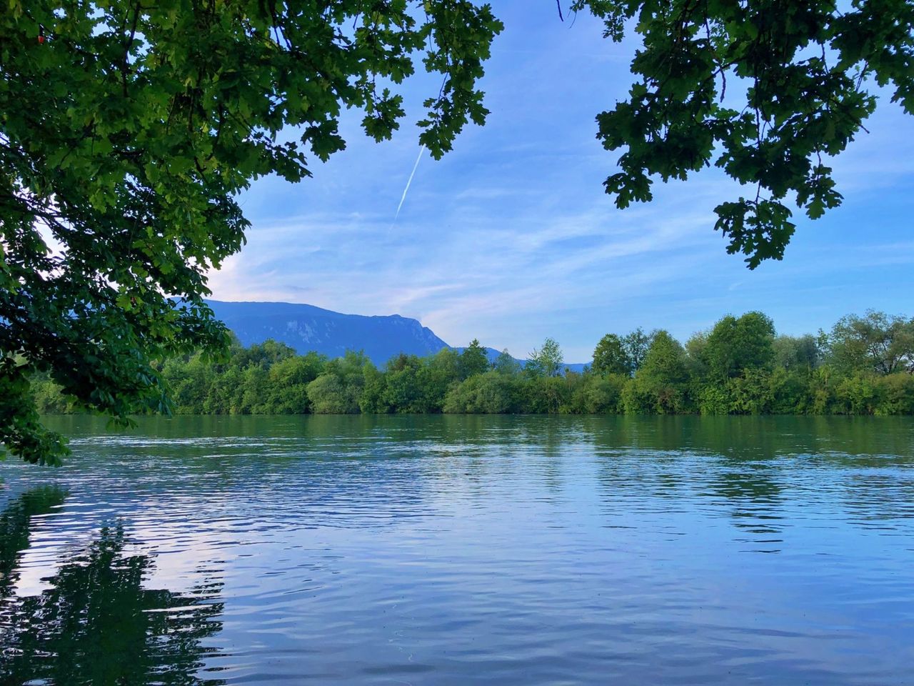 Aare
