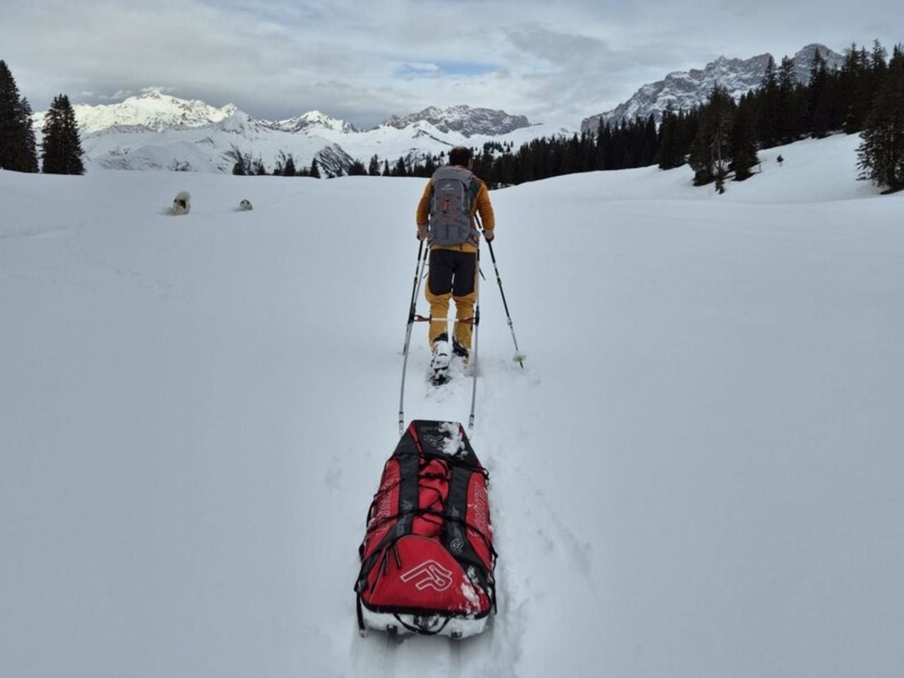 Schneeschuhtour mit Pulka und Zeltübernachtung