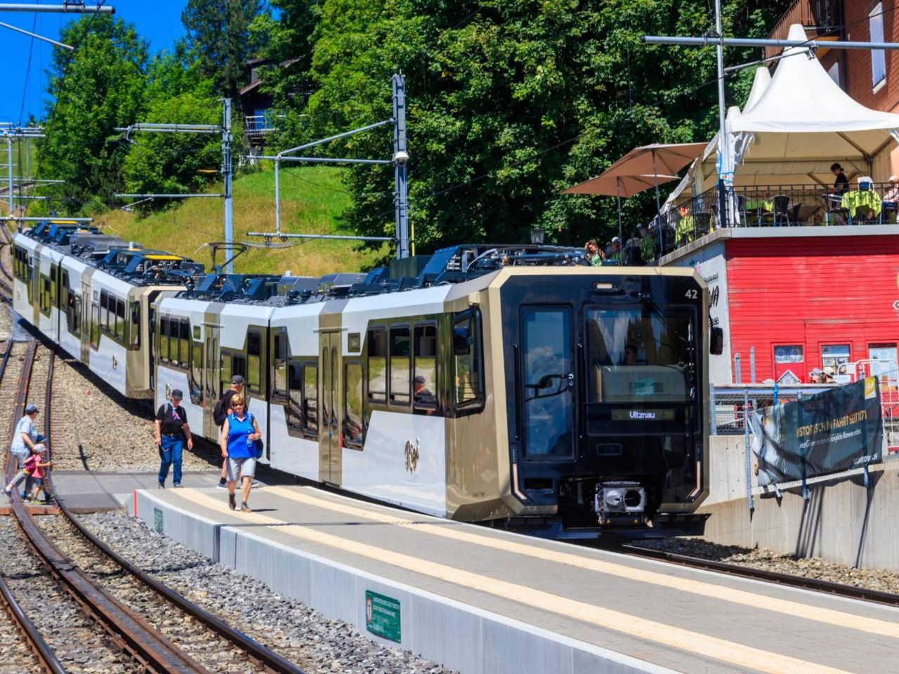 Ab Zürich: Private Tagestour auf die Rigi und nach Luzern