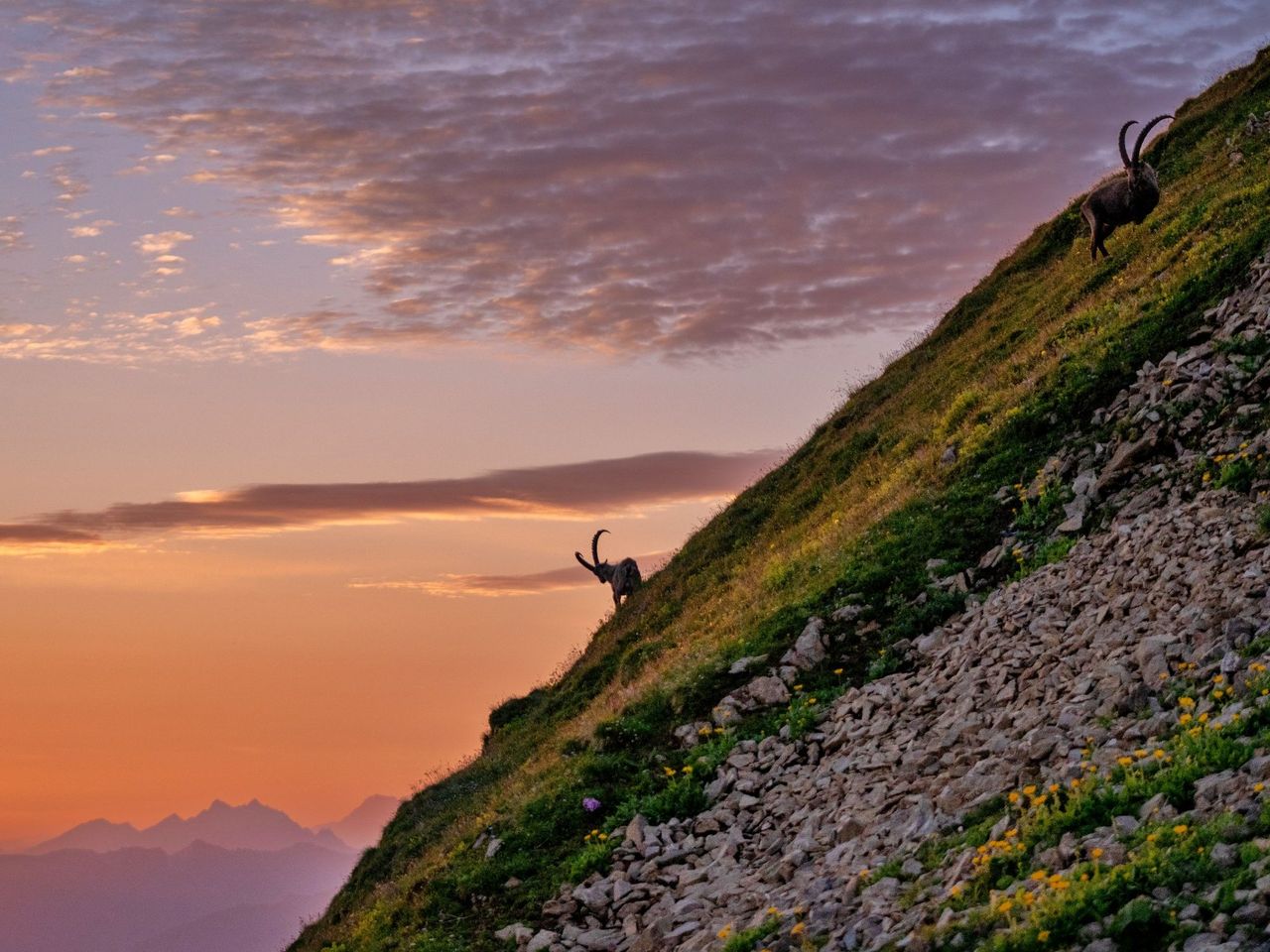 Vollmondfahrt aufs Brienzer Rothorn mit Drei-Gänge-Menü