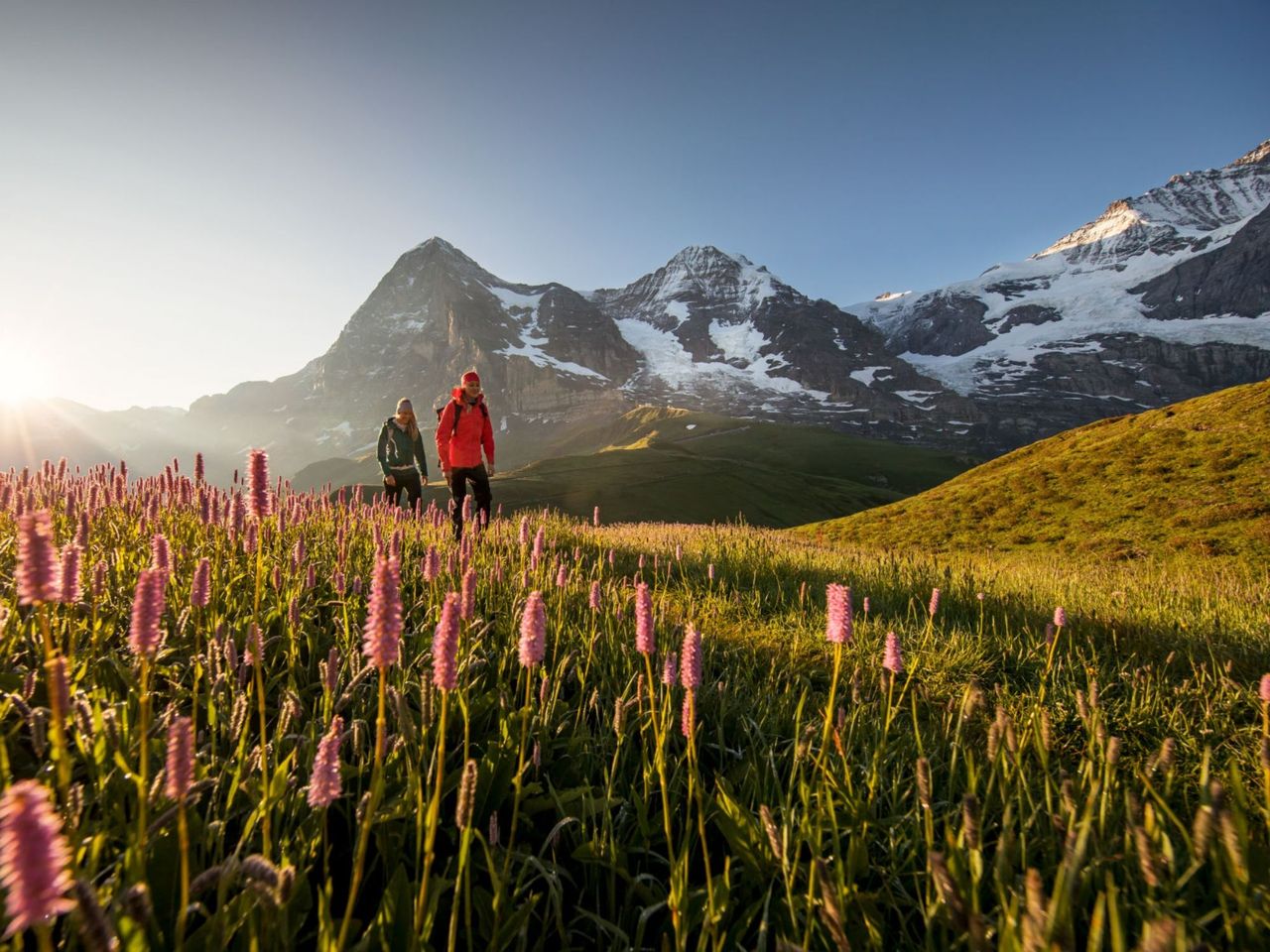 Bahnticket Grindelwald - Kleine Scheidegg Wengernalpbahn