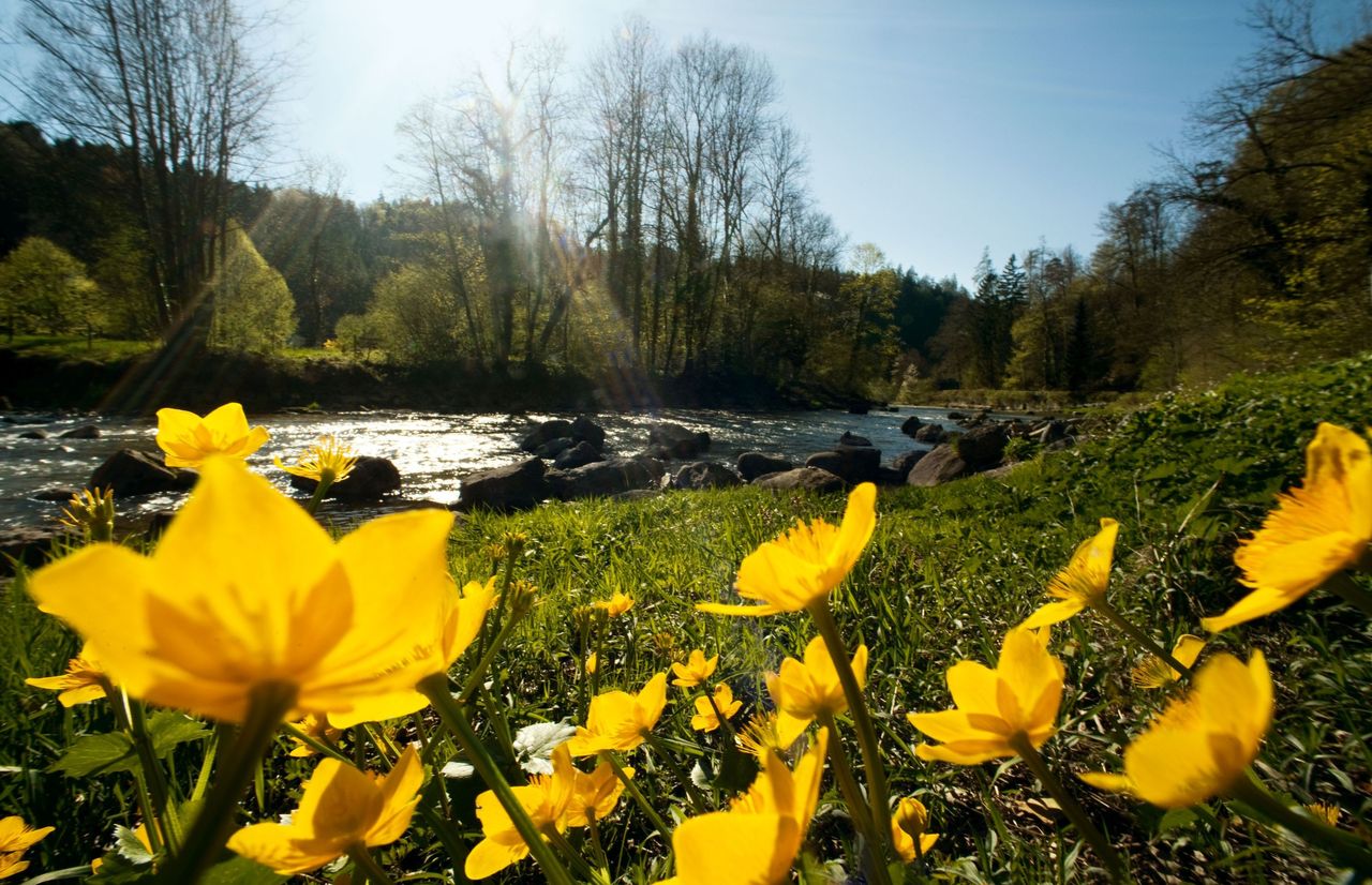 Naturpark Sihlwald