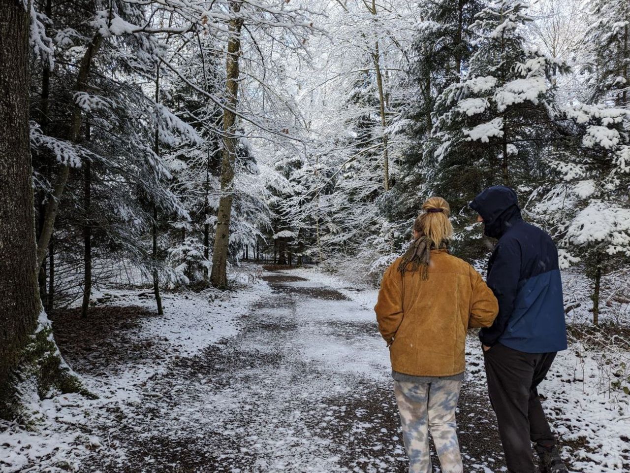 "Tracking Nature including Picnic": On the Move with Charlotte Arnswald