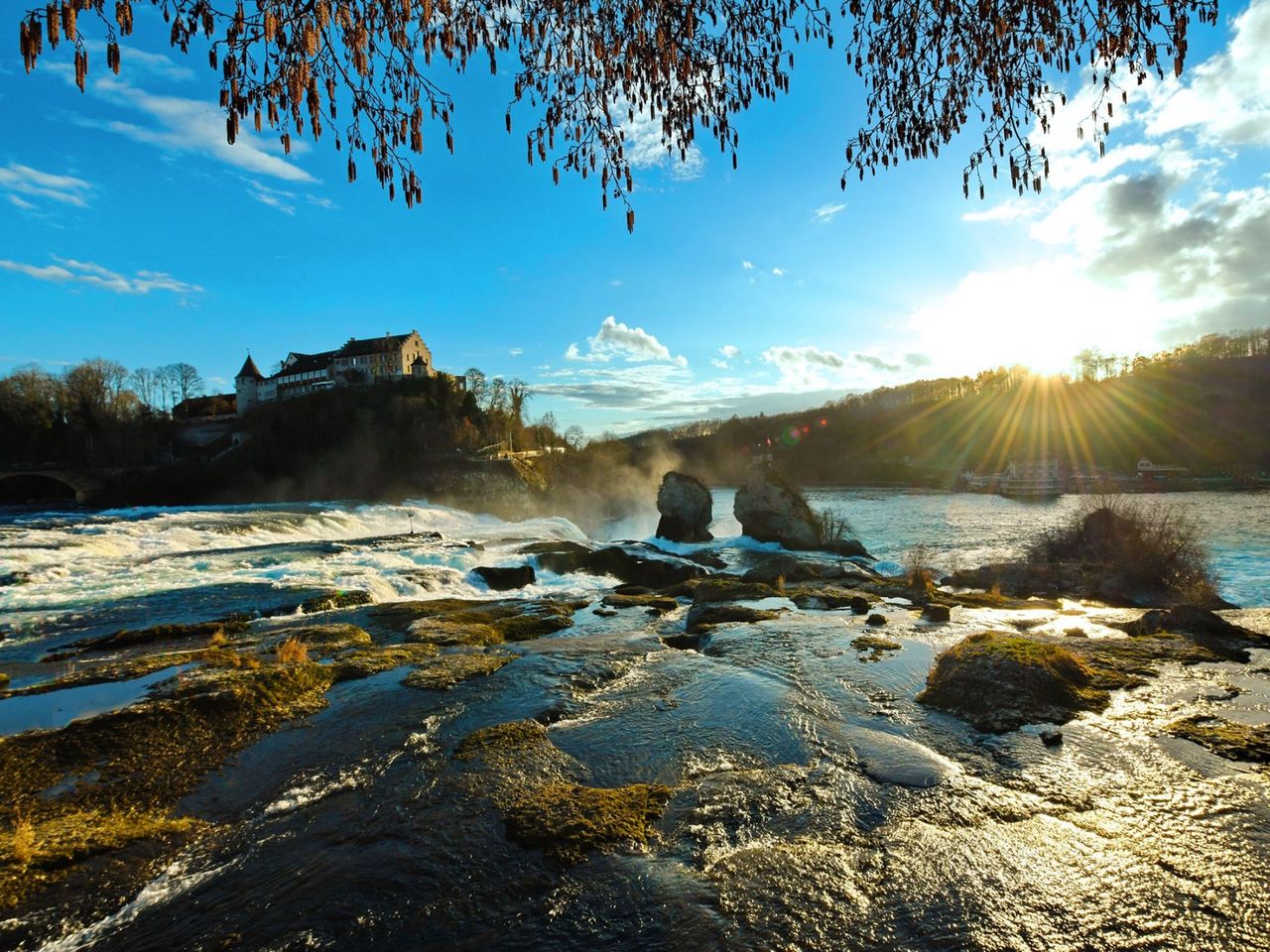 Ab Zürich: Bustour zum Rheinfall, Chocolarium und Appenzeller Schaukäserei 