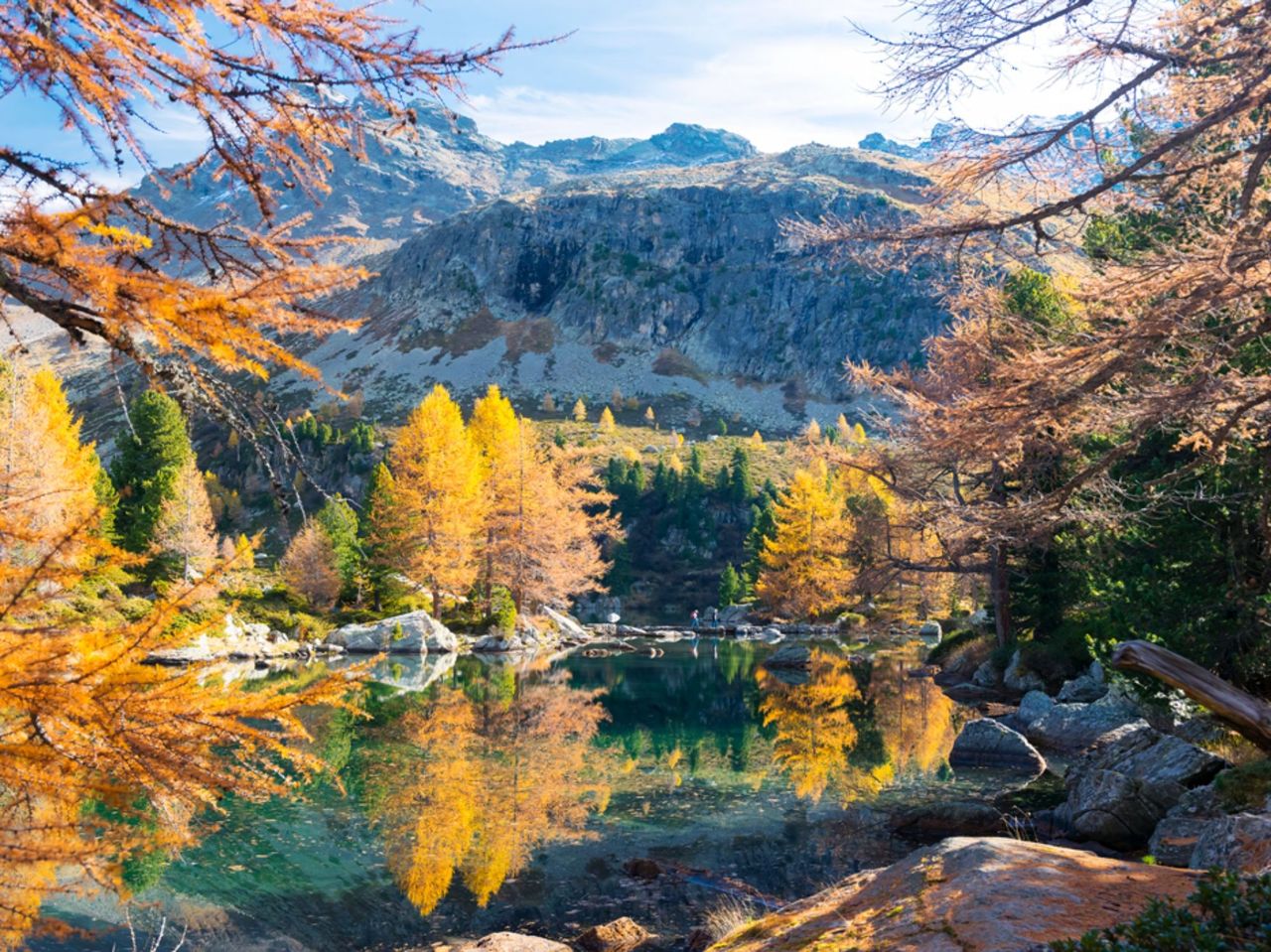 Privater Kurs Lärchen-Zauber fotografieren im Engadin