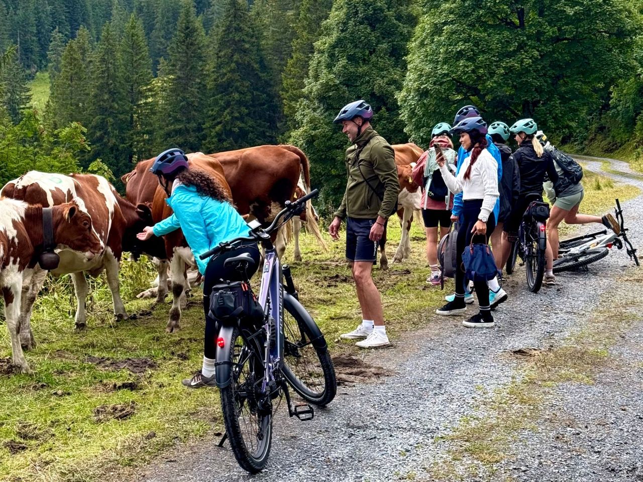 "Jungfrauregion und Käsedegustation" - Private E-Bike-Tour ab Interlaken