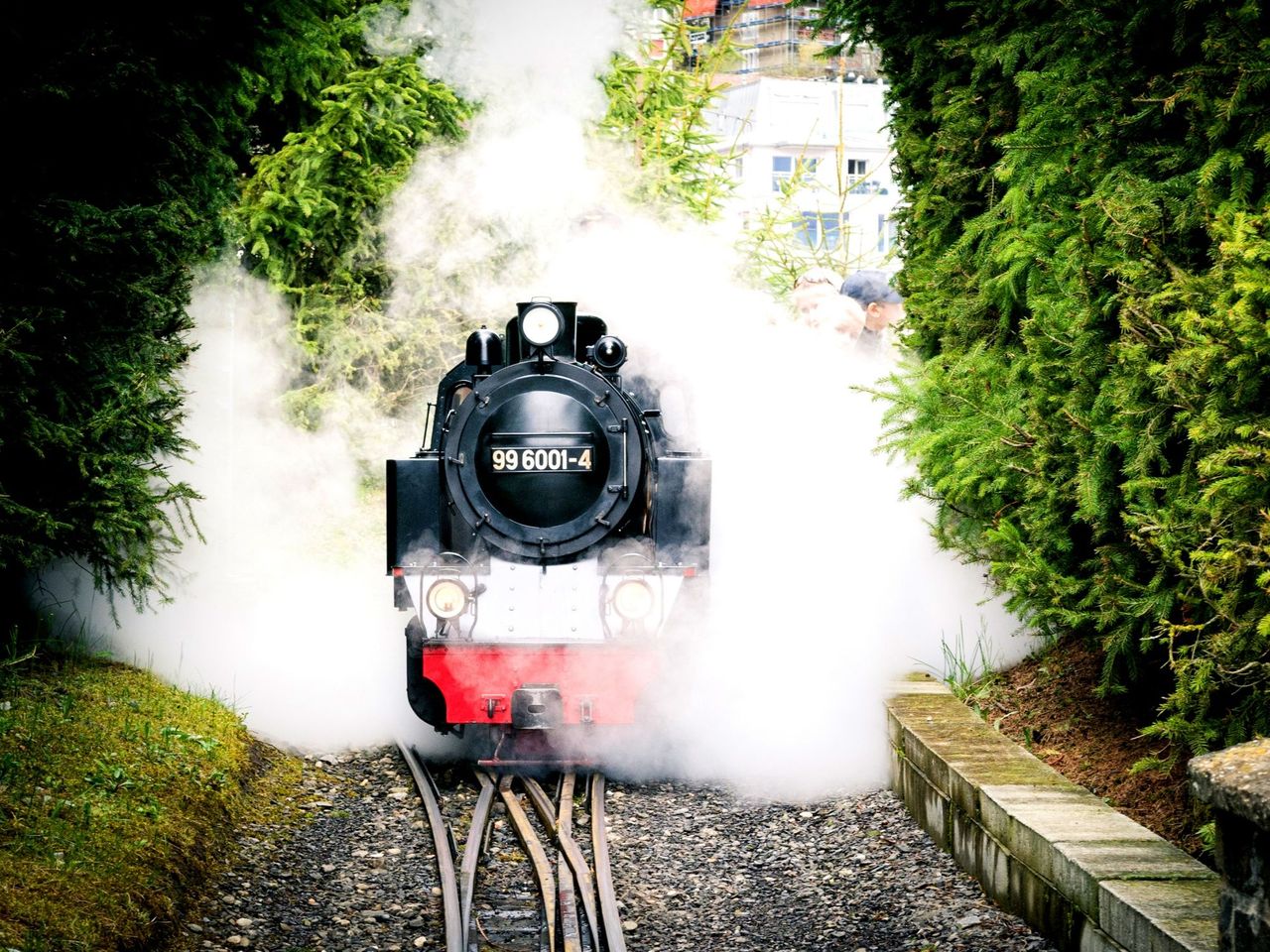 Ticket Swiss Vapeur Parc in Port Valais