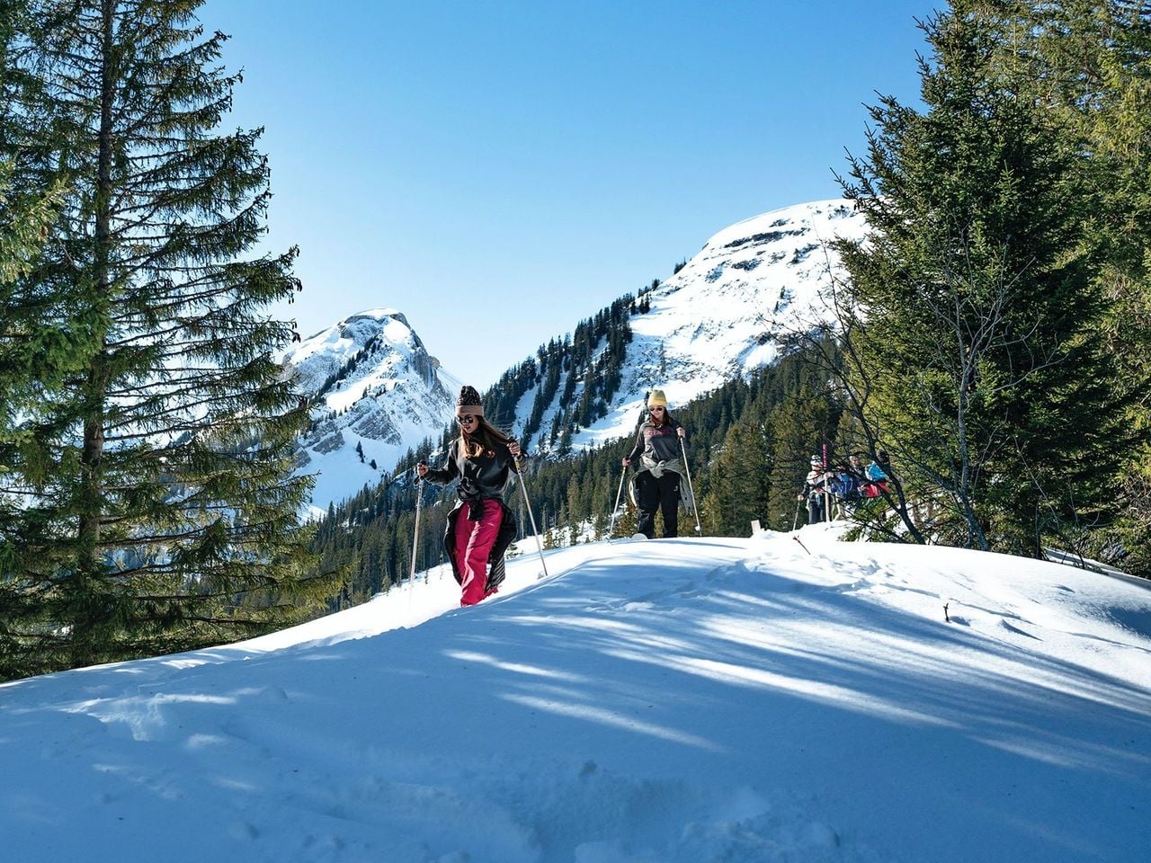 Schneeschuh-Abenteuer in den Schweizer Alpen
