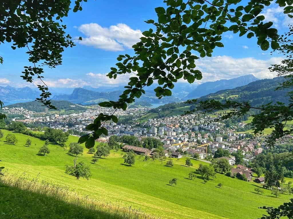 Private farm tour with cheese tasting from Lucerne