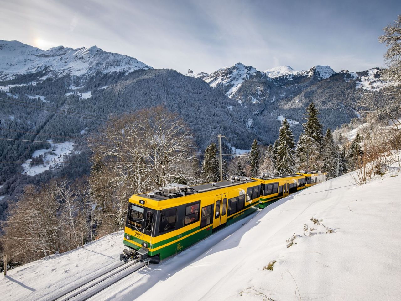 Skipass Wengen