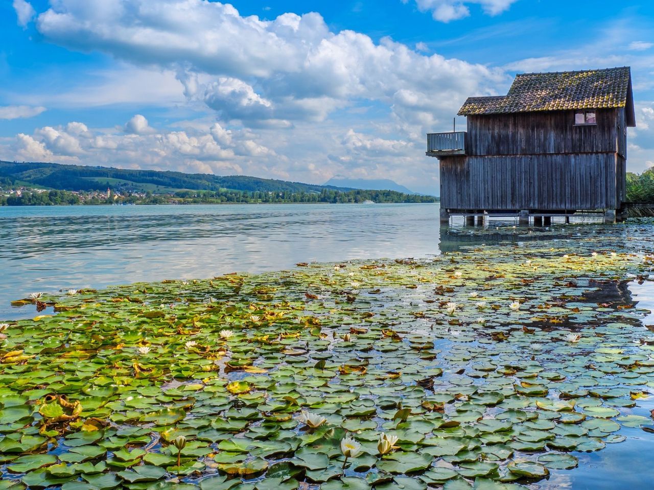 Ticket Rundfahrt Hallwilersee
