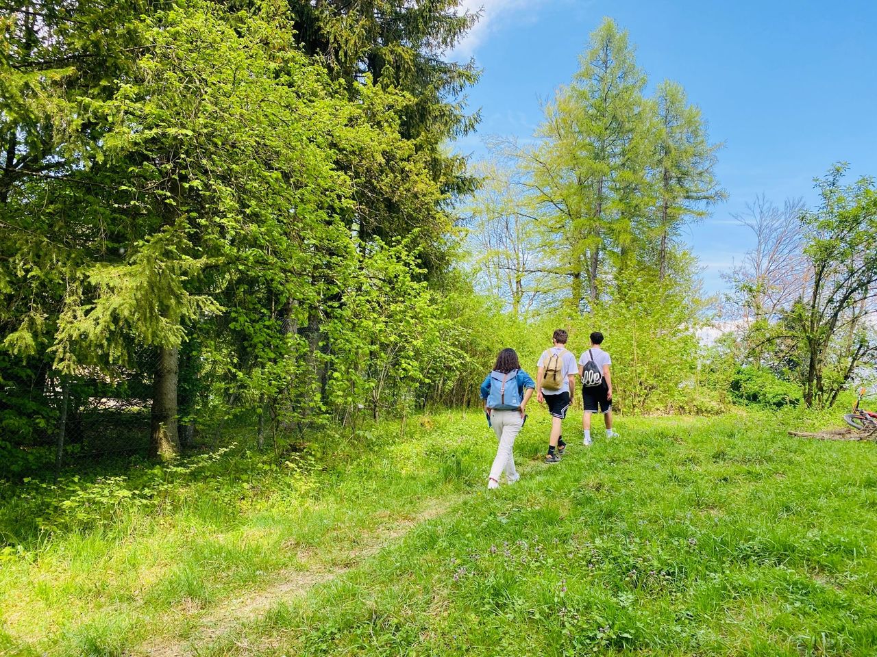Uetliberg - Felsenegg: Gratwanderung Ausflugsticket ab Zürich HB