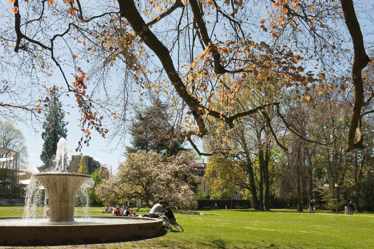 "Glamour and Sociability" Public City Tour in Baden