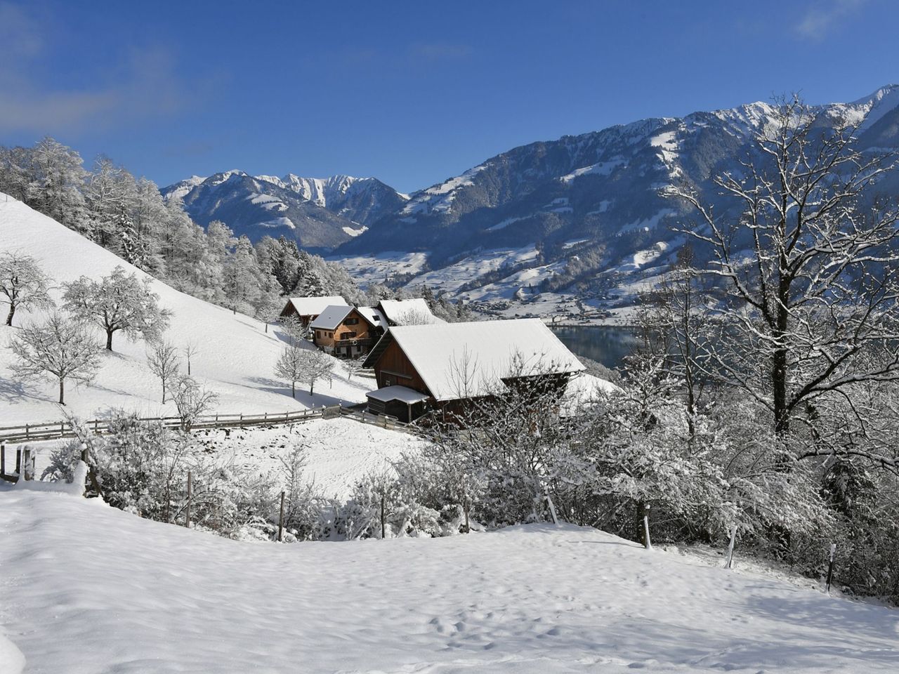 Hofbesichtigung und leichte Lama-Wanderung am Sarnersee
