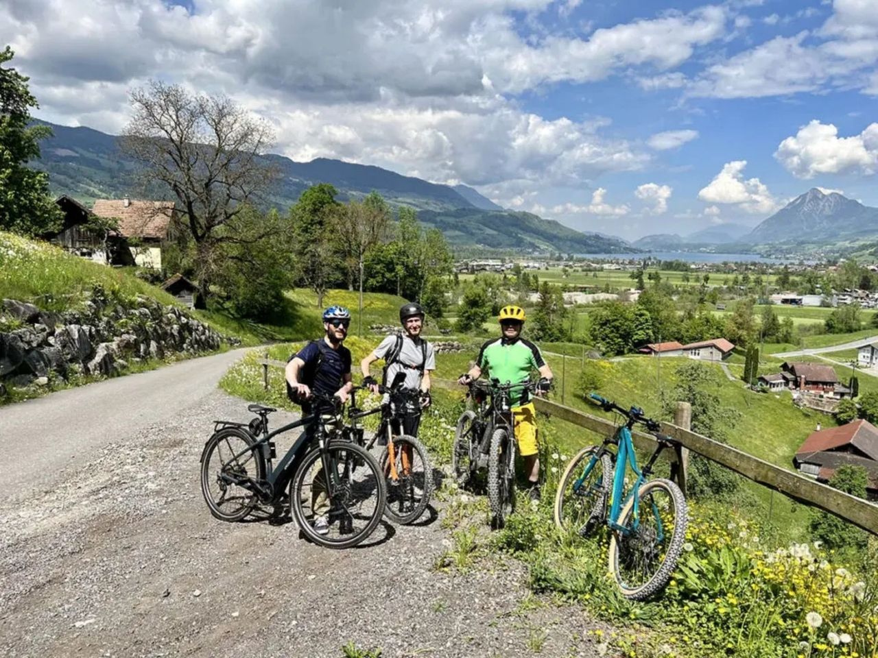 Private E-Bike Tagestour 4 Seen mit Schiffsfahrt ab Luzern