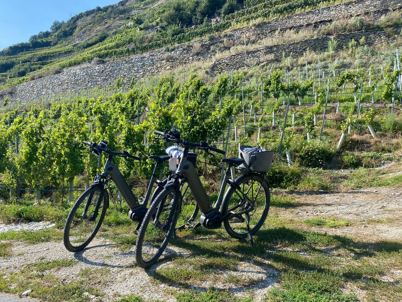 Selbstgeführte E-Bike Tour am Weinberg inkl. Menü ab Sion
