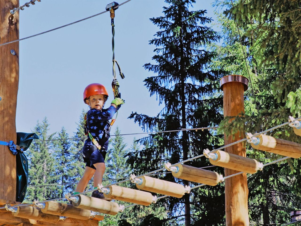 Ticket Seilpark im Davos Adventure Park