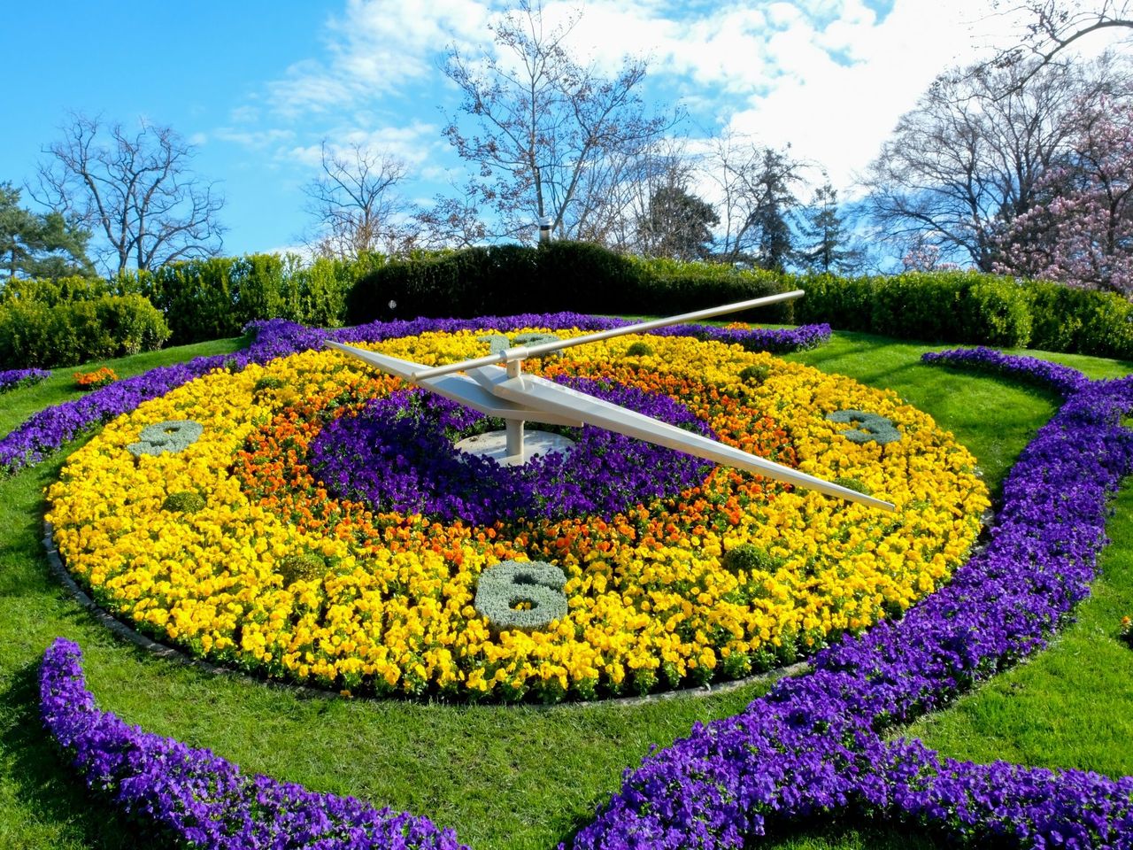 Geneva: Jet d'eau, boat cruise and city tour including aperitif