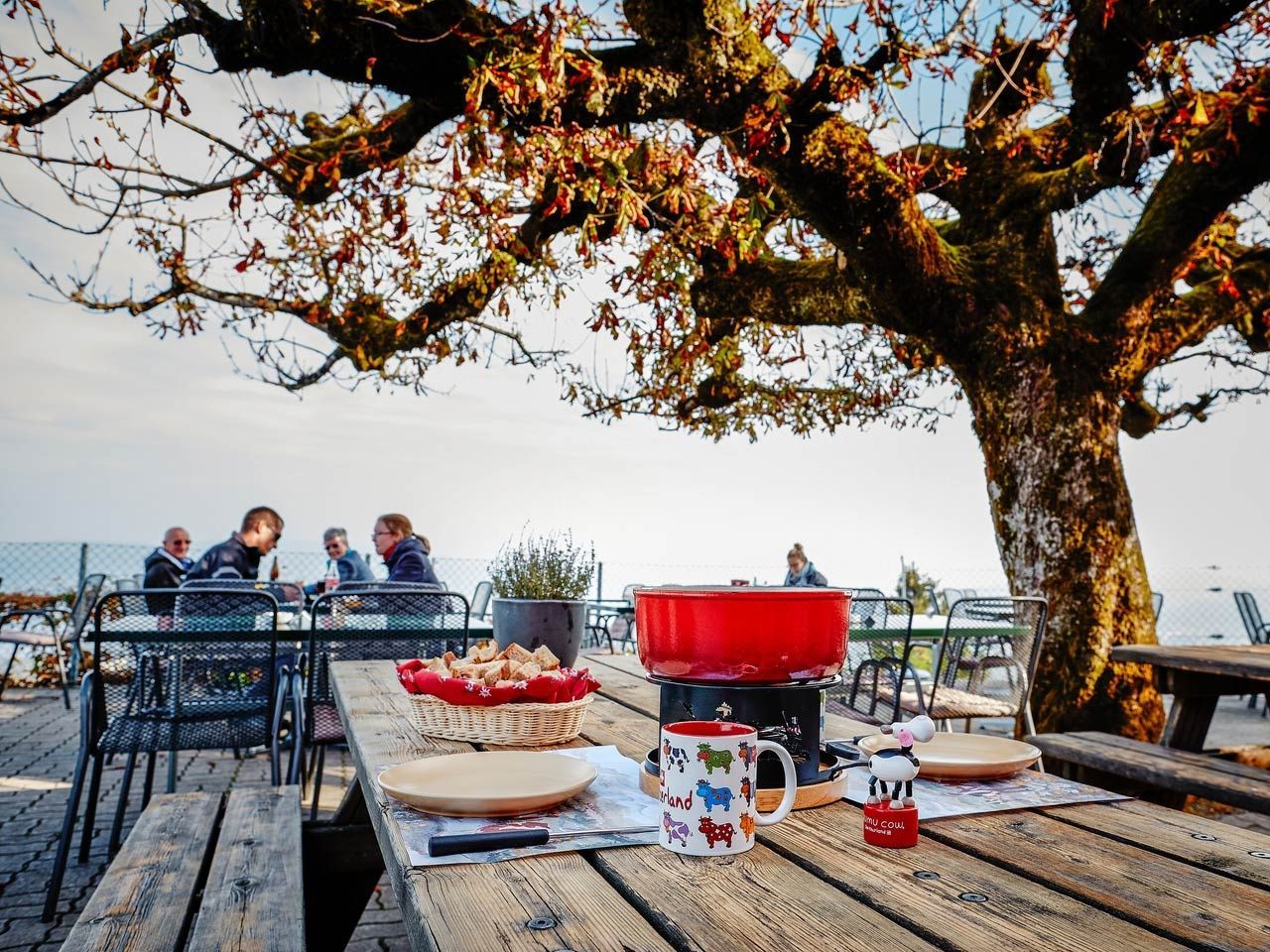 Full day in Zurich with Felsenegg cable car private tour