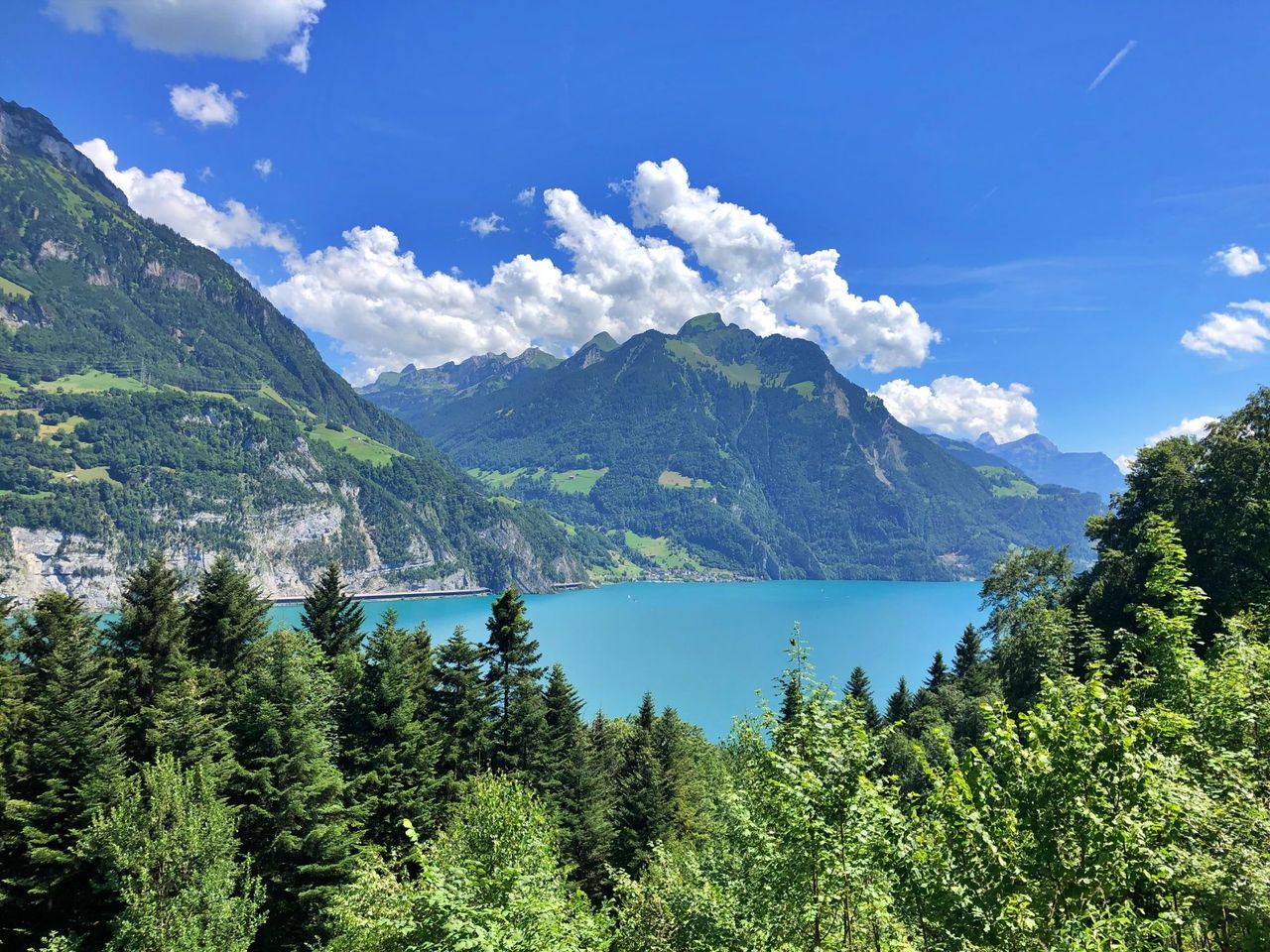 Ticket funicular Seelisberg from Treib