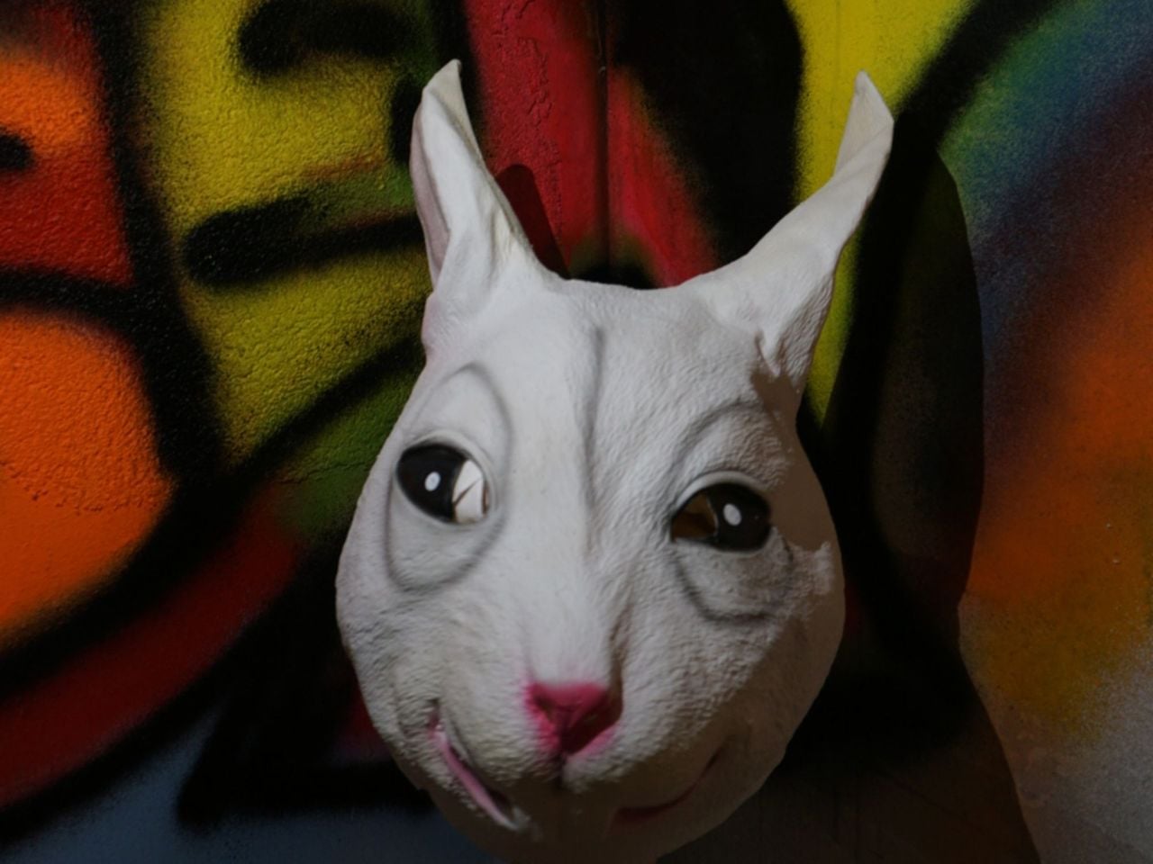 "Rabbit 6" Escape Room in Murten