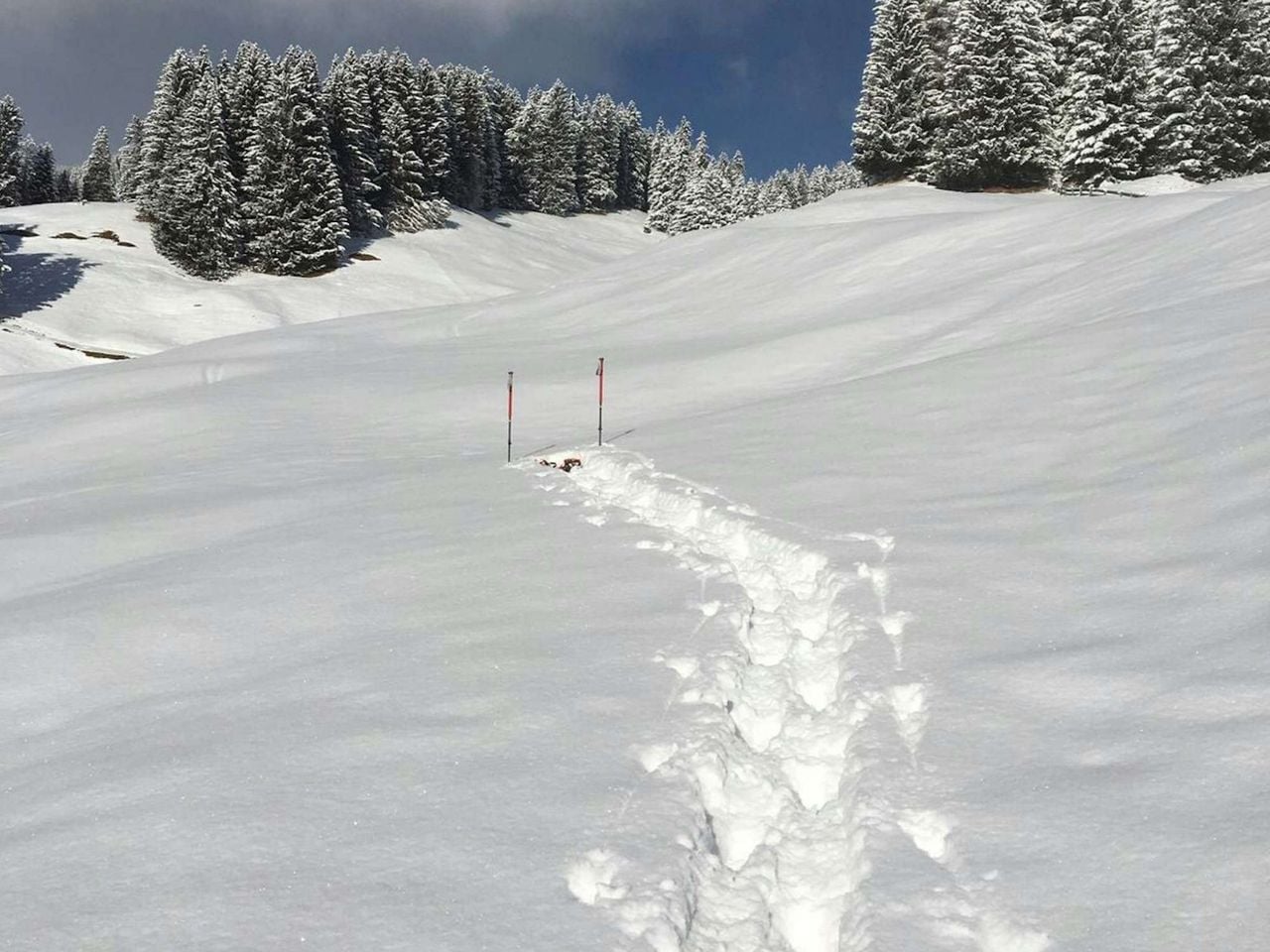 Private Snowshoe Tour in Arosa