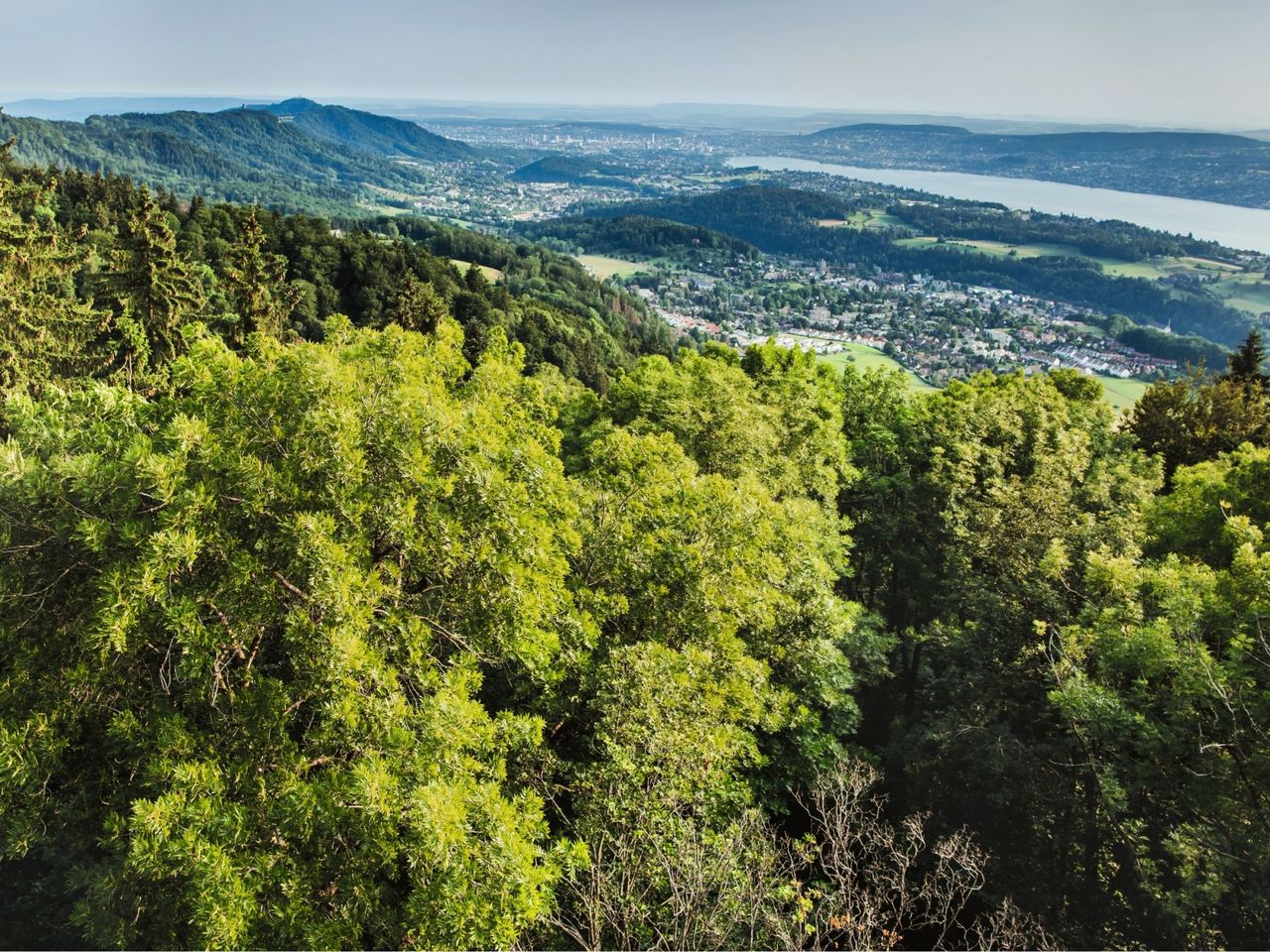 Sihlwald Naturpark