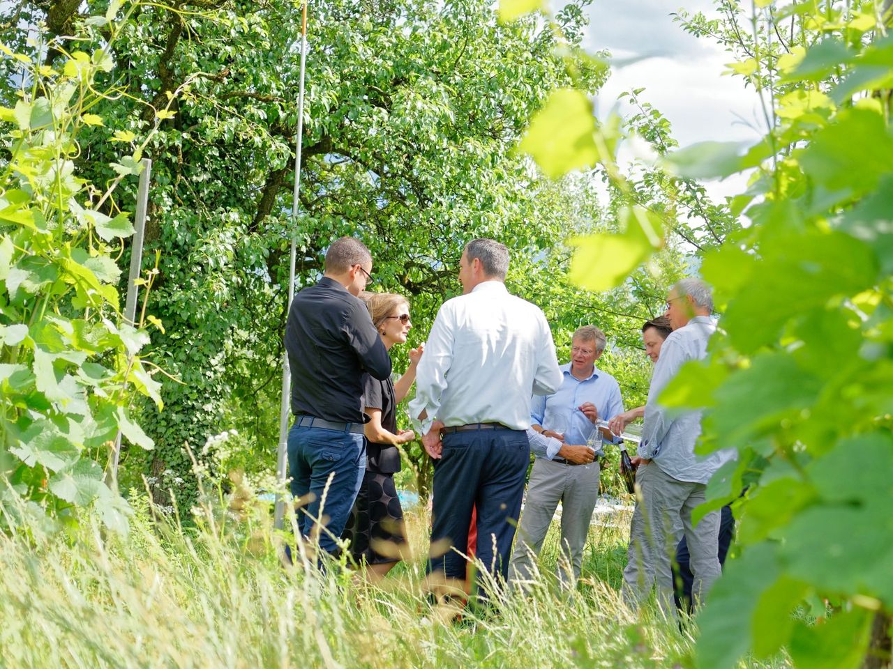 Wein und Gourmet wandern für Gruppen ab Fläsch
