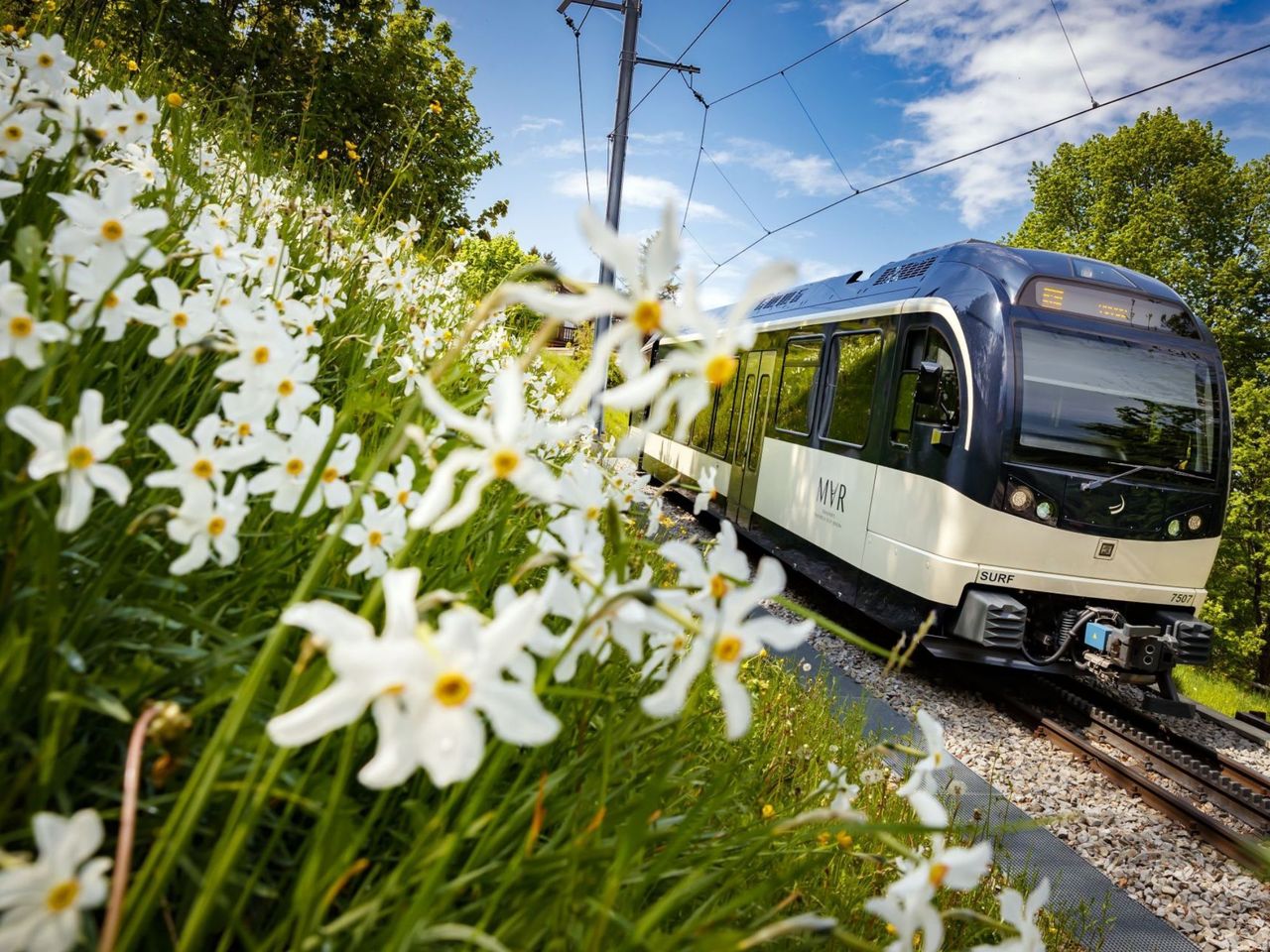 Ticket Zahnradbahn Vevey - Les Pléiades
