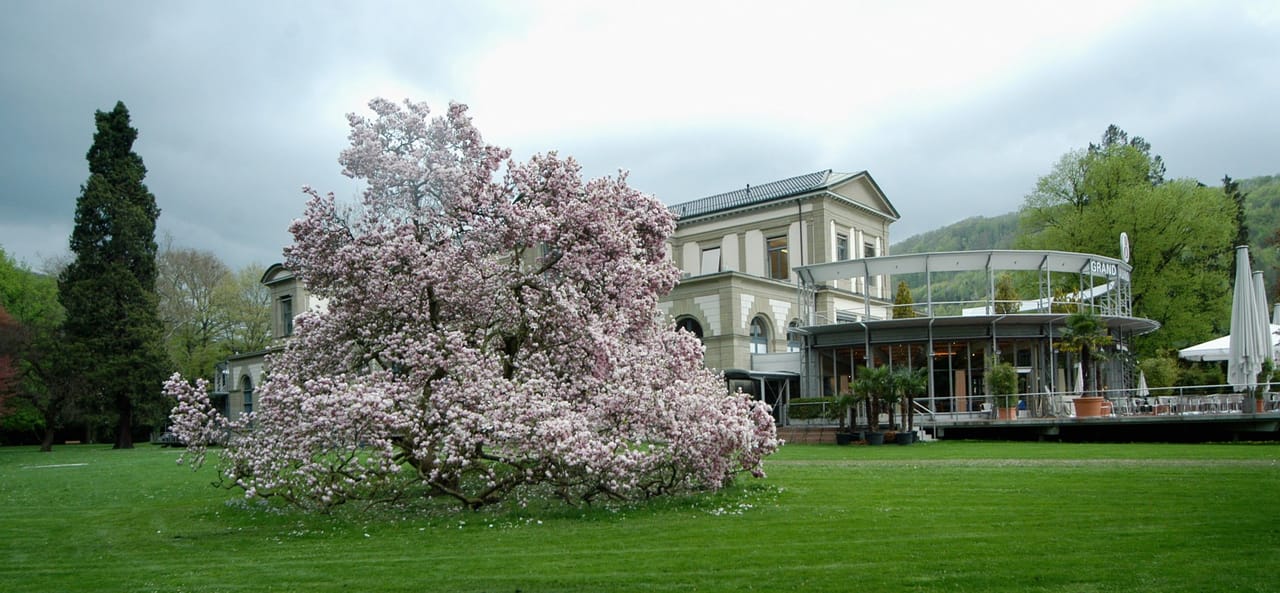 "Glamour and Sociability" Public City Tour in Baden