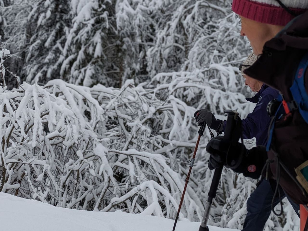Snowshoe Tour Group Champéry