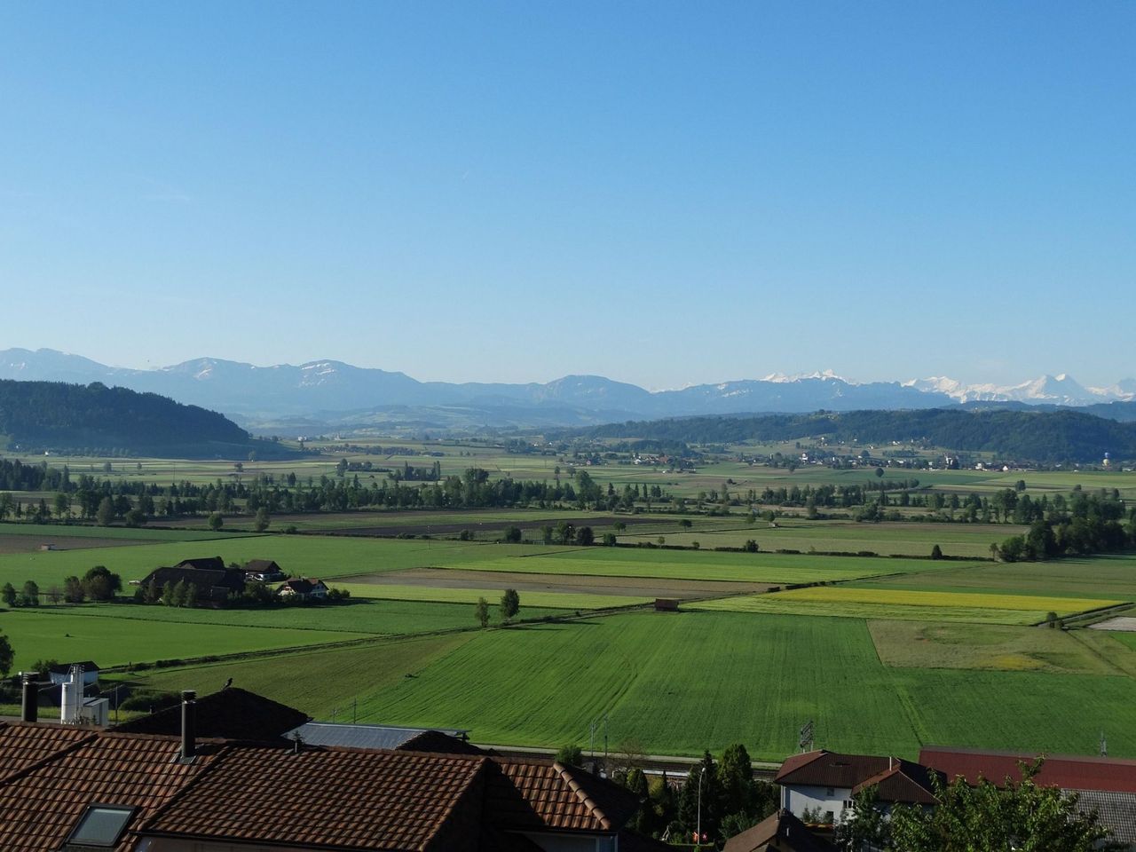 Willisau
