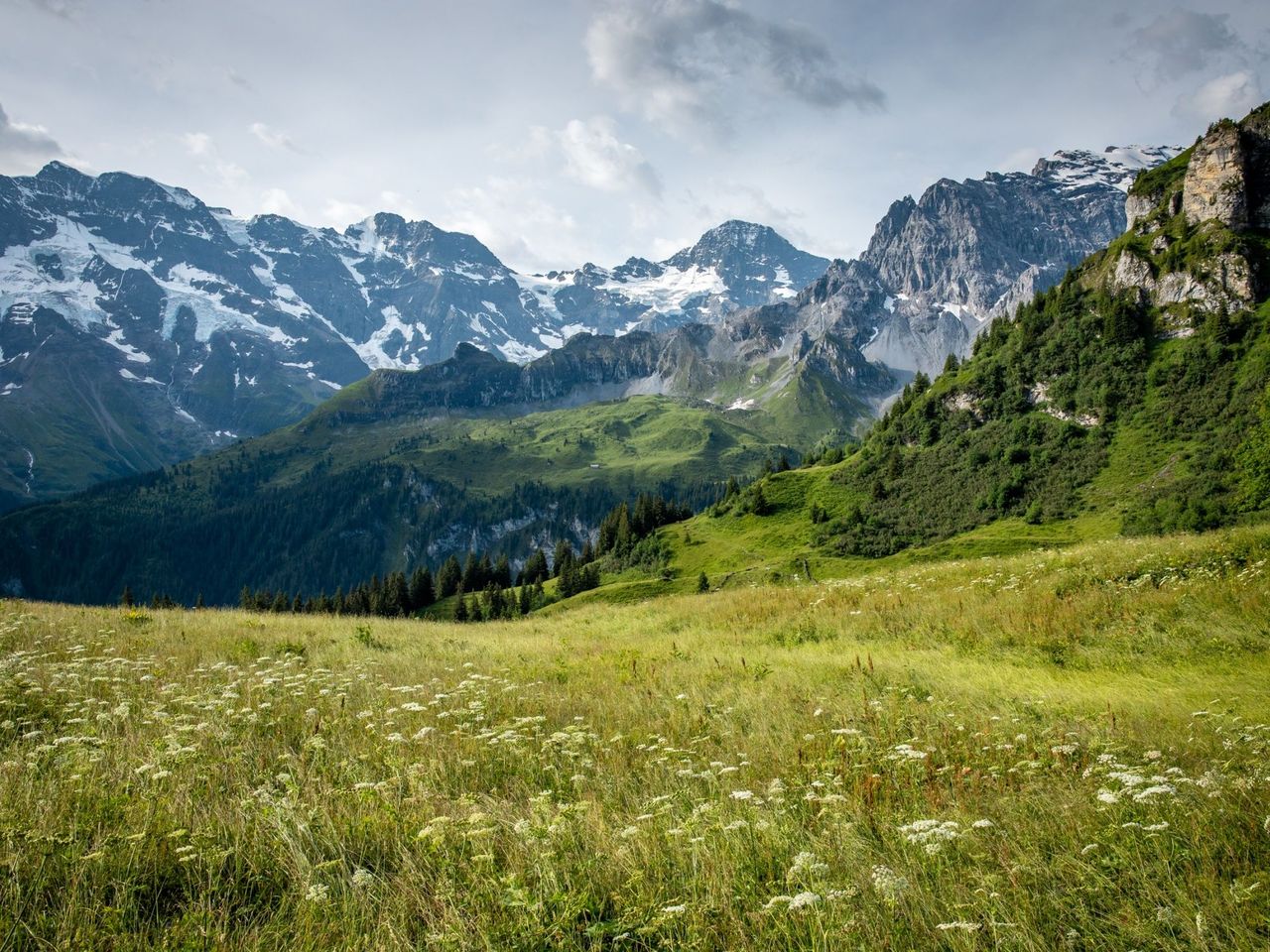 Kräuterwanderung und Wildbeobachtung ab Mürren