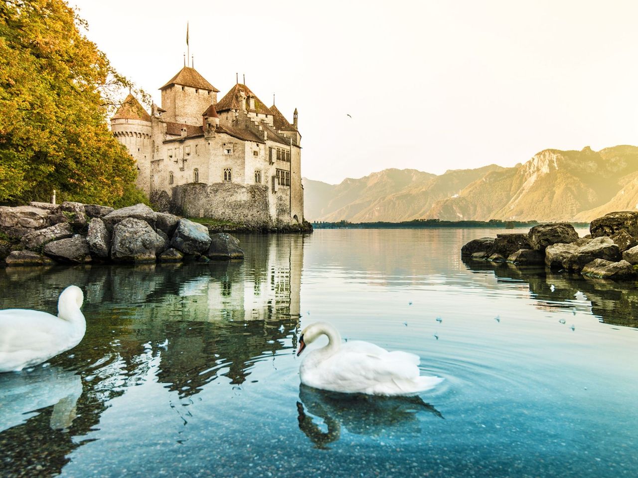 Ab Genf: geführte Bustour Chaplin mit Schifffahrt ab Montreux nach Chillon