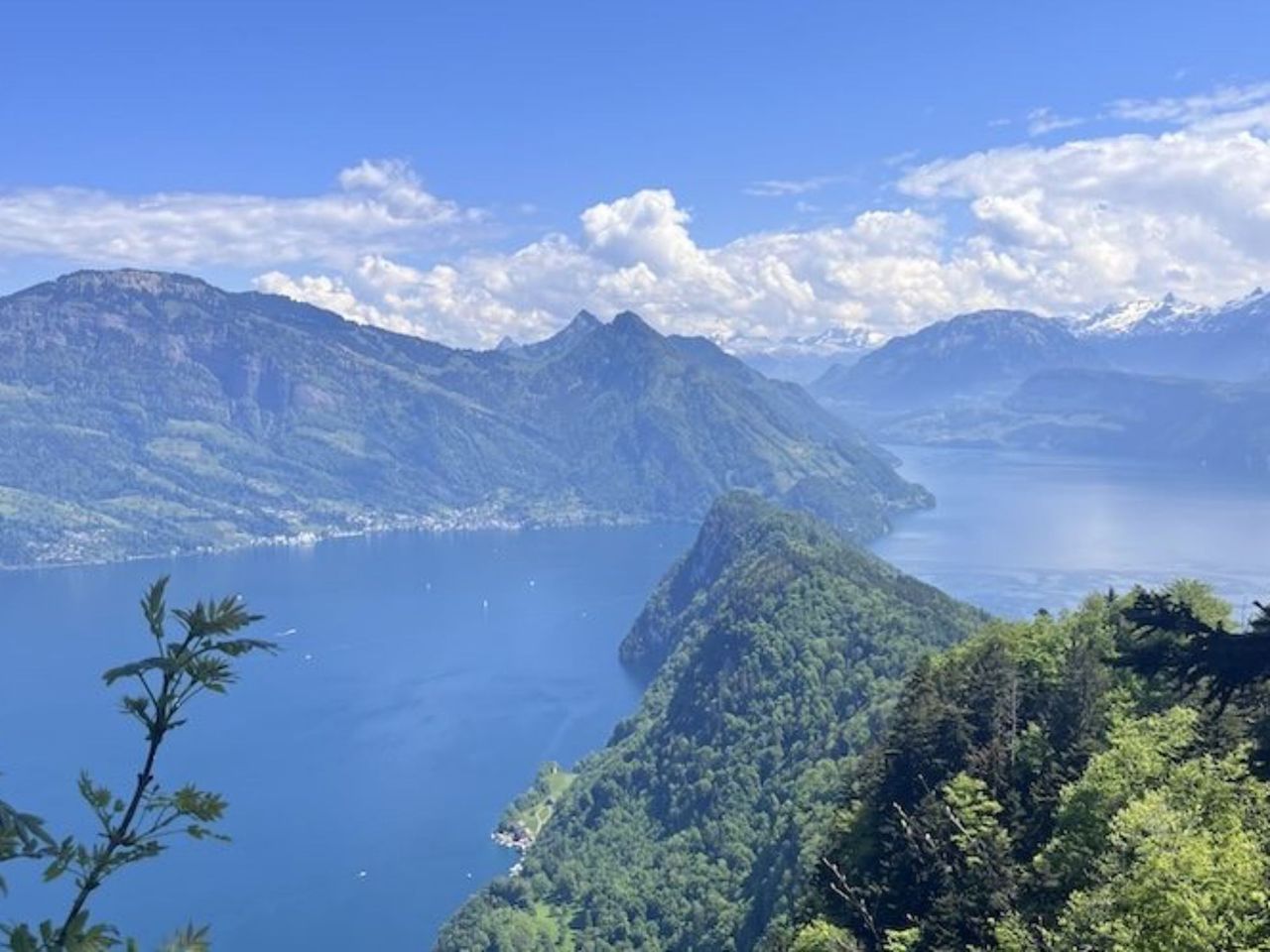 Private cliff hike Bürgenstock from Lucerne