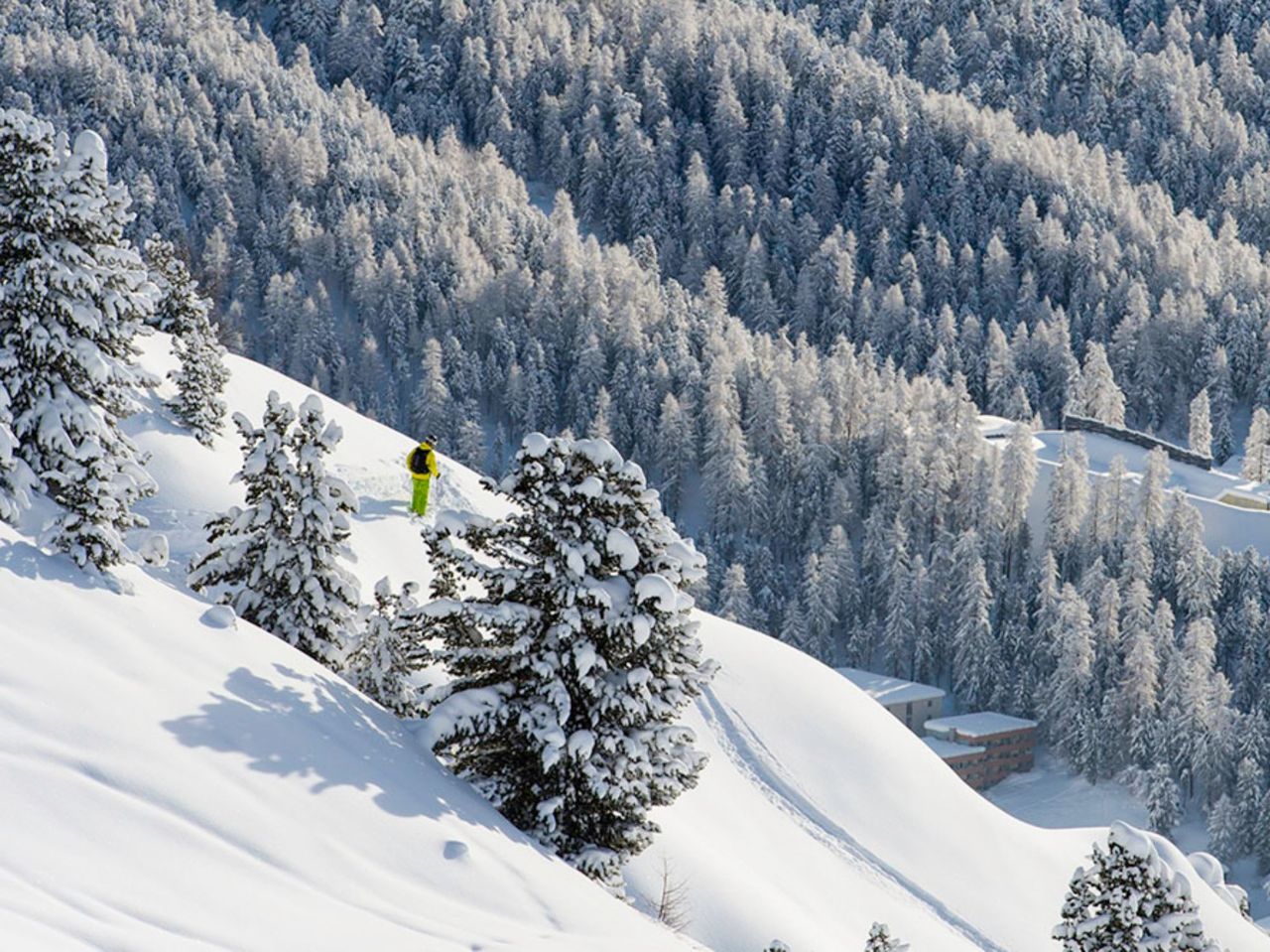 Skischule privat alle Level in St. Moritz