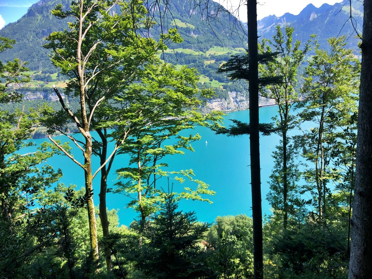 Ticket funicular Seelisberg from Treib