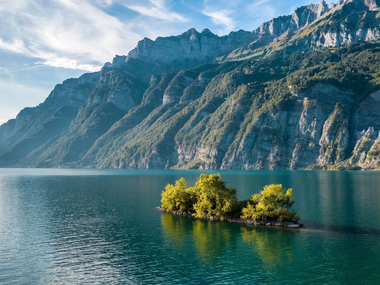 Walensee Baum Insel