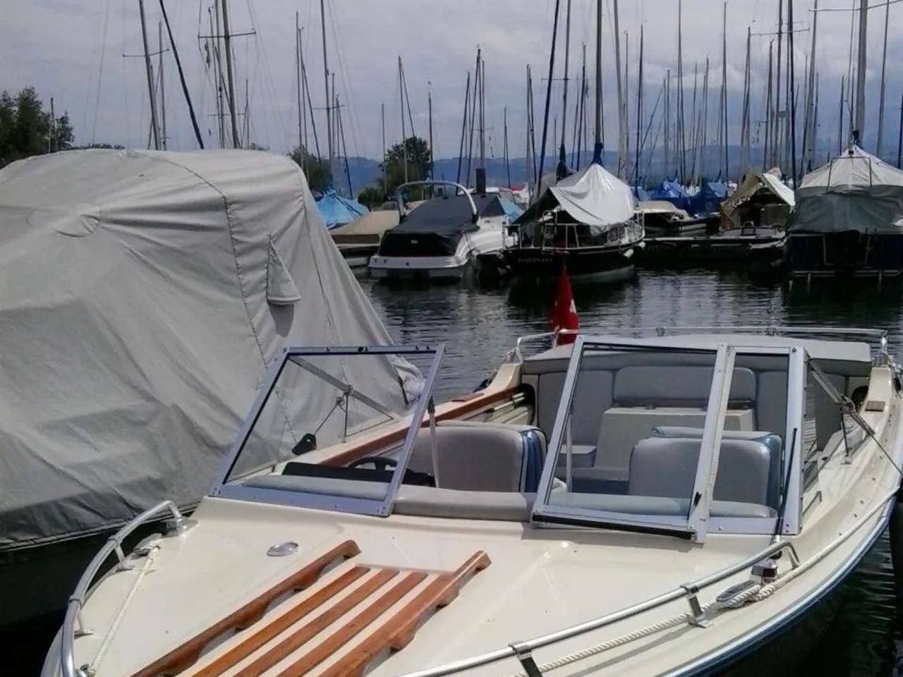 Bootsfahrt Untersee ab Mannenbach-Salenstein