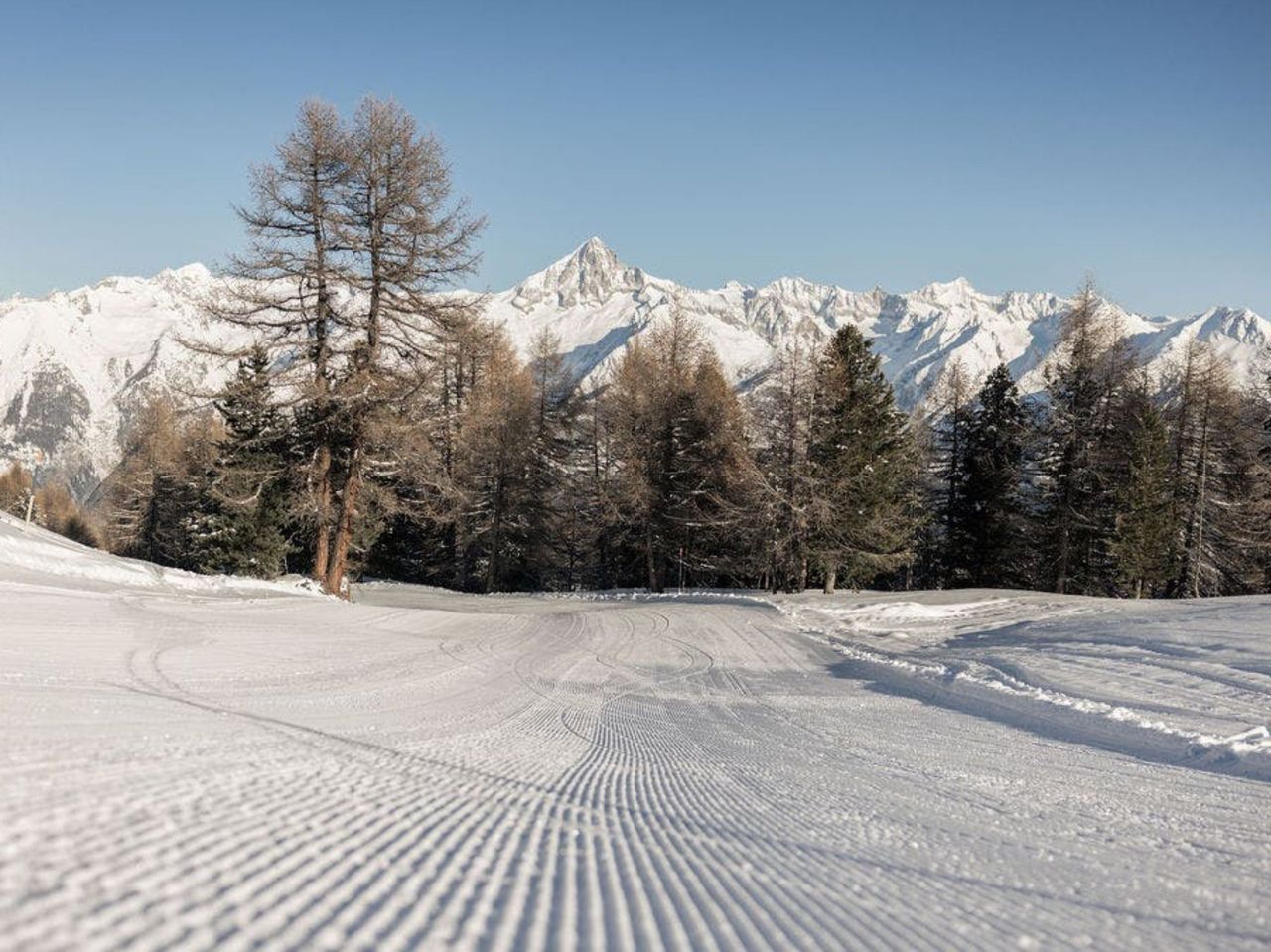 Ticket Winterwandern Moosalp