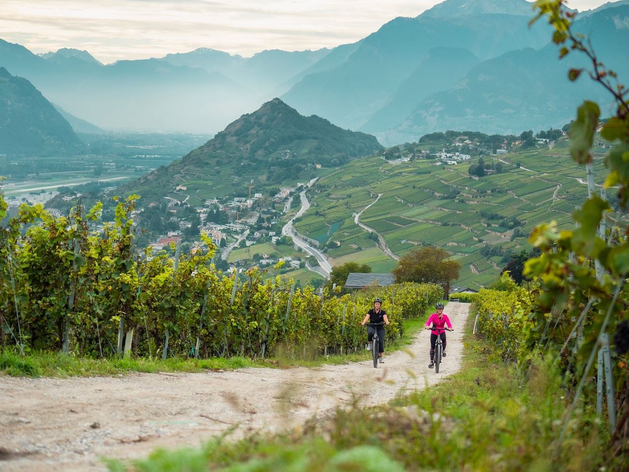 Selbstgeführte E-Bike Tour am Weinberg inkl. Menü ab Sion